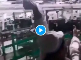 Inde des ouvriers en colère saccagent leur usine iPhone - VIDEO (1)
