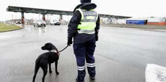 Pyrénées : Un homme condamné pour avoir aidé des algériens sans-papiers