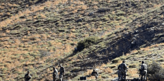 Tunisie : Oqba, un jeune berger de 20 ans, décapité par un groupe terroriste