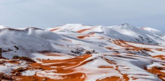 Algérie - des photos du Sahara sous la neige font le tour du monde2