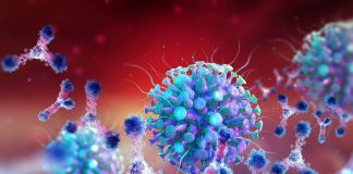 Covid-19 - deux nouveaux variants du virus menacent la France