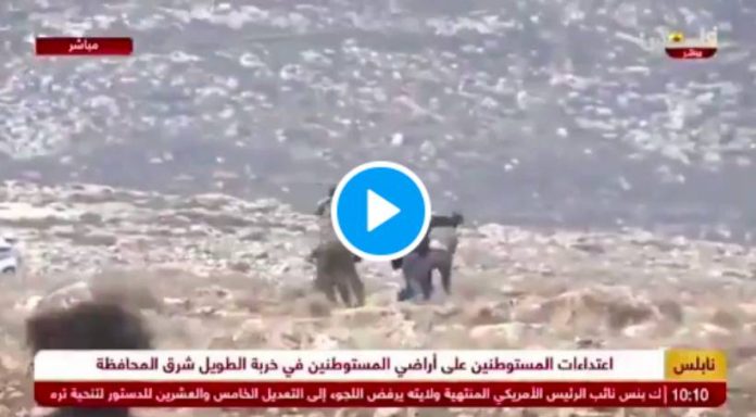 Un gang de colons israéliens lynchent un palestinien de 75 ans et son fils - VIDEO