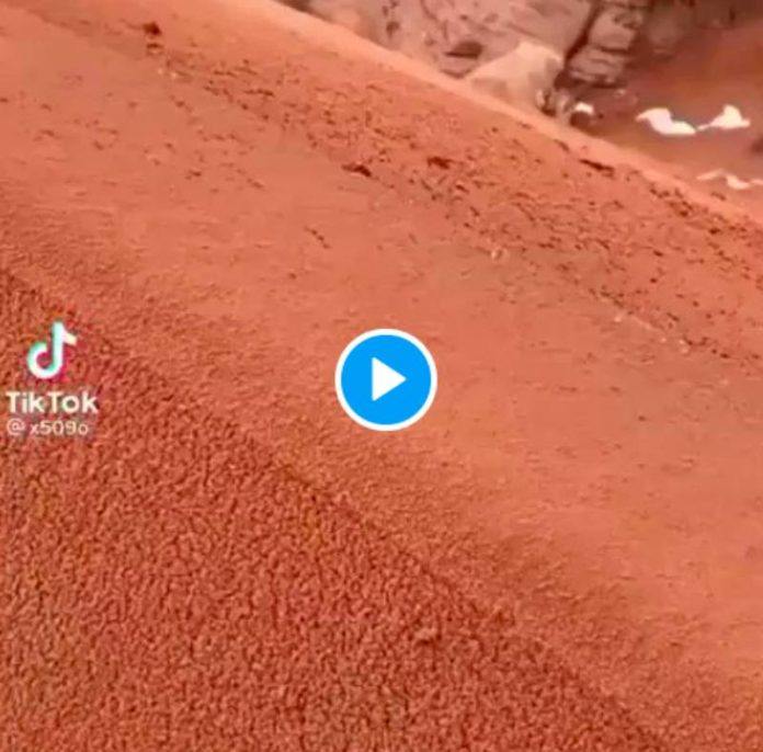 Arabie saoudite le désert recouvert de neige et d’une fine couche de sable - VIDEO