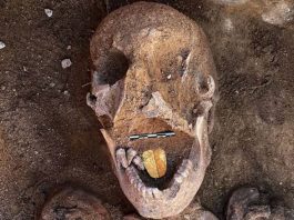 Égypte - des momies vieilles de 2000 ans retrouvées avec des langues en or intactes (1)