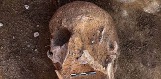 Égypte - des momies vieilles de 2000 ans retrouvées avec des langues en or intactes (1)