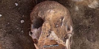 Égypte - des momies vieilles de 2000 ans retrouvées avec des langues en or intactes (1)