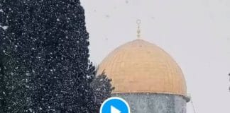 Jérusalem des flocons de neige tombent sur la mosquée al-Aqsa - VIDEO