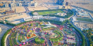 La ville de Dubaï tapisse ses allées avec plus de 57 millions de roses