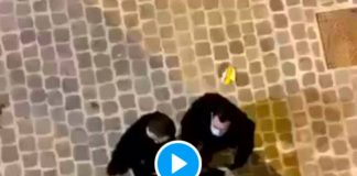 Paris des policiers frappent et insultent un jeune homme sans savoir qu’ils étaient filmés - VIDEO
