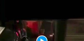 « Pourquoi vous faites ça ?! » un homme désespéré supplie la police d’arrêter de la taser - VIDEO