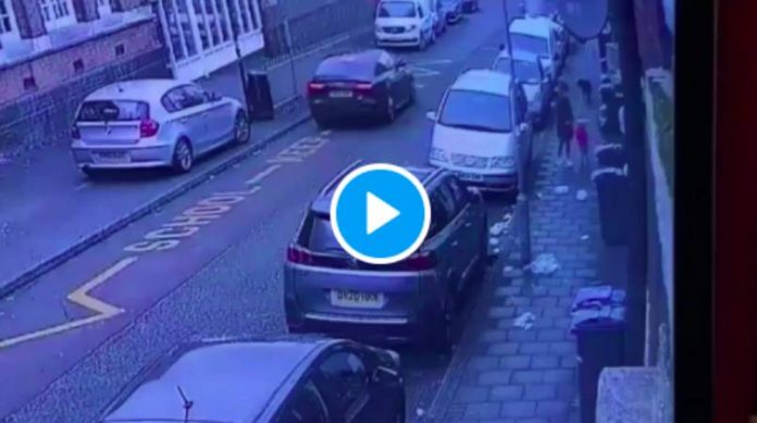 Un chien de garde s’acharne sur une mère et ses enfants en pleine rue, les victimes dans un état grave - VIDEO