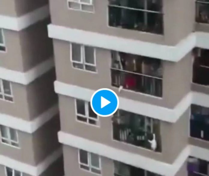 Un homme sauve un enfant qui fait une chute du 12e étage - VIDEO