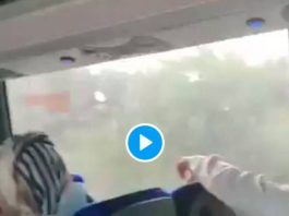 Des enfants palestiniens défendent leur terre face à un bus transportant le chef d’un parti sioniste - VIDEO