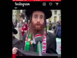 « La Palestine sera libre » des juifs orthodoxes condamnent Israël et apportent leur soutien aux Palestiniens - VIDEO