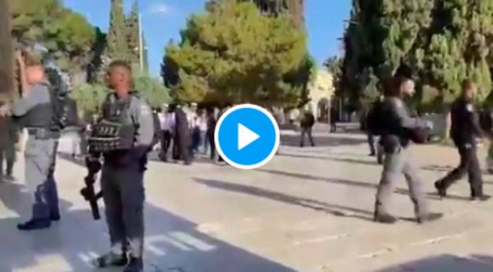 Escortés par la police israélienne, des colons juifs pénètrent dans l'enceinte d'Al-Aqsa - VIDEO