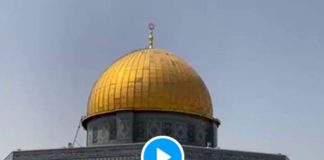 Les hauts parleurs d’Al-Aqsa appellent les musulmans du monde entier à sauver la mosquée sacrée - VIDEO (1)