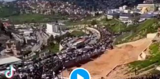 Une foule immense venue de toute la Palestine se dirige vers Al-Aqsa - VIDEO