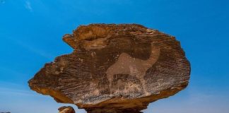 L’Arabie saoudite dévoile son riche patrimoine gravé sur les pierres