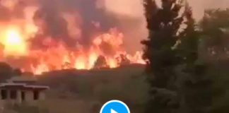 Algérie de gigantesques incendies brûlent la Kabylie, sept morts - VIDEO