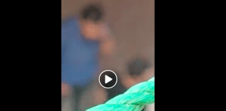 Egypte une femme tabasse un homme qui la harcèle dans la rue devant son fils - VIDEO