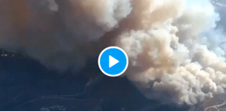 Jérusalem un immense incendie plonge la ville dans un nuage de fumée - VIDEO