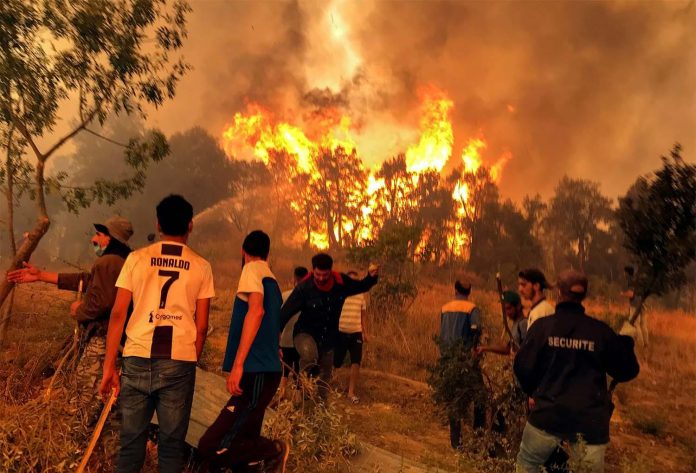 L'Algérie observe un jour de deuil après près de 70 morts dans des incendies criminels