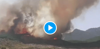 Maroc plus de 700 hectares brulés par des incendies à Chefchaouen - VIDEO