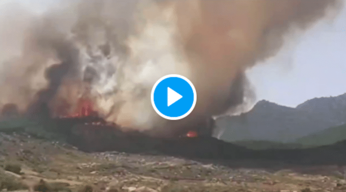 Maroc plus de 700 hectares brulés par des incendies à Chefchaouen - VIDEO