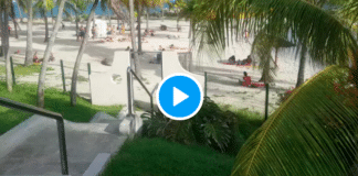 Martinique des soignants de Métropole venus prêter main forte font bronzette sur la plage - VIDEO