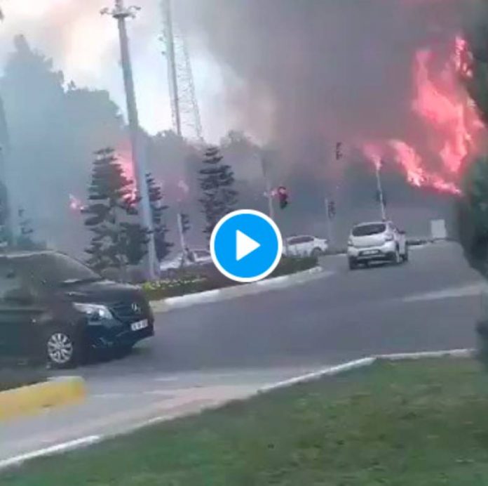 Turquie Plus de 100 incendies apocalyptiques encerclent le pays - VIDEO
