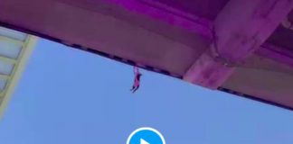 Football américain A l’aide d’un drapeau des spectateurs sauvent un chat de la mort - VIDEO (1)