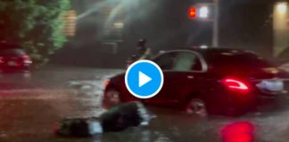 New-York Pendant l'ouragan Ida un livreur risque sa vie pour apporter un repas - VIDEO (2)