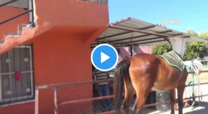 Turquie un homme vend sa voiture pour se déplacer à cheval - VIDEO