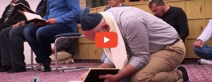 Des juifs orthodoxes prient comme des musulmans - VIDEO