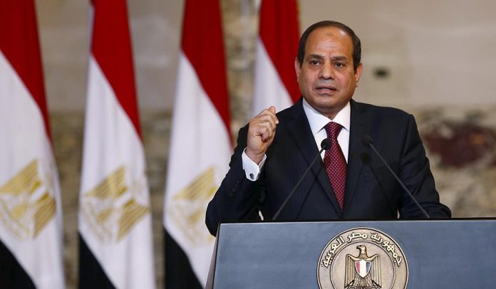 Egypte - Le président Sissi demande l'interdiction des plantes décoratives pour économiser l'eau
