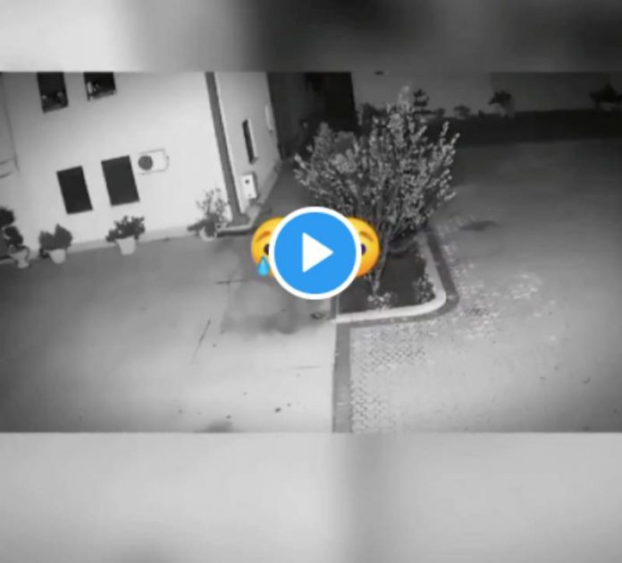 Maroc un séisme de magnitude 5 frappe la région d’al Hoceima - VIDEO