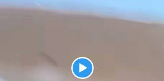 En plein désert, un pilote étend un feu d’une façon incroyable - VIDEO