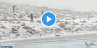 La neige recouvre le désert de Tabuk en Arabie saoudite - VIDEO