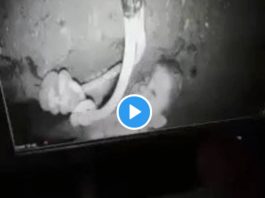 Maroc le petit Rayan coincé dans un puits depuis 3 jours toujours en vie - VIDEO