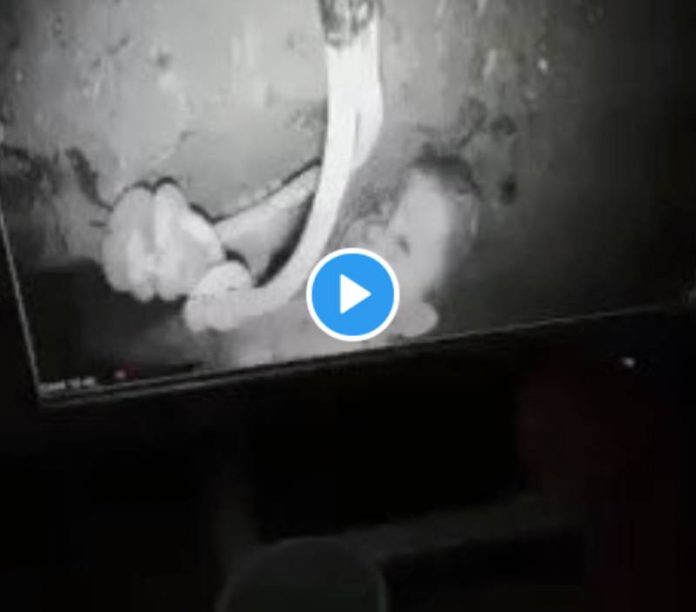 Maroc le petit Rayan coincé dans un puits depuis 3 jours toujours en vie - VIDEO
