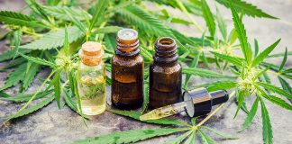 Le Maroc légalise la culture de cannabis thérapeutique