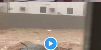 Jeddah _ un homme accomplit sa salât au milieu des inondations - VIDEO