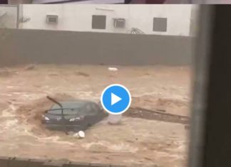 Jeddah _ un homme accomplit sa salât au milieu des inondations - VIDEO