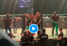 UFC Khabib brandit le drapeau palestinien après la victoire de Belal Muhammad