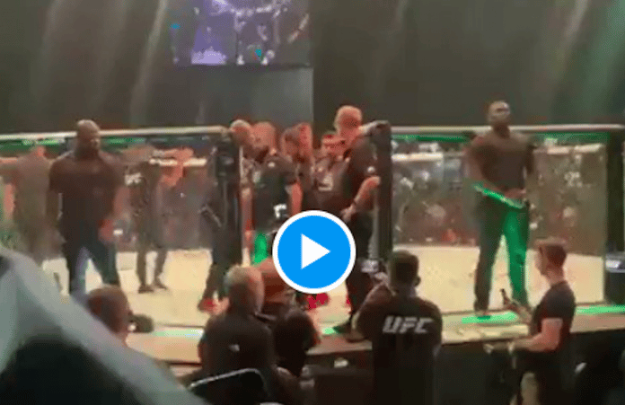UFC Khabib brandit le drapeau palestinien après la victoire de Belal Muhammad