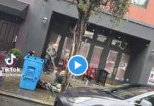 San Francisco le propriétaire d’une gallérie d’art asperge une SDF en pleine rue - VIDEO