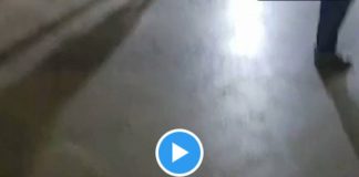 « L’homme le plus libre sur Terre » Hassan Iquioussen expulsé de Belgique arrive heureux au Maroc - VIDEO