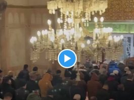 Al-Aqsa Des Palestiniens prient Salât Janaza pour les victimes du tremblement de terre en Turquie et en Syrie - VIDEO