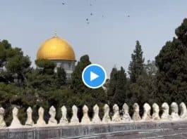 Al-Aqsa 100 000 fidèles accomplissent la prière du 1er vendredi du Ramadan - VIDEO