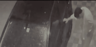 Maroc - un tribunal condamne un homme à de la prison ferme pour avoir tué un chat